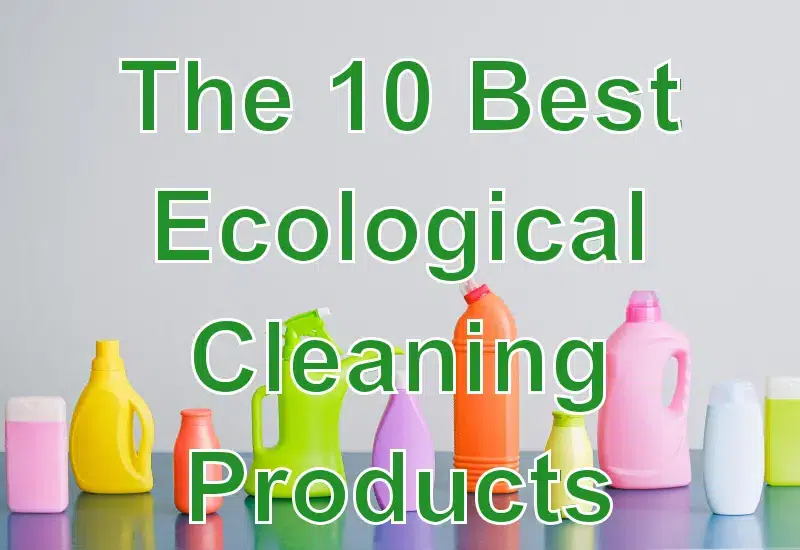 The 10 Best Ecological Cleaning Products